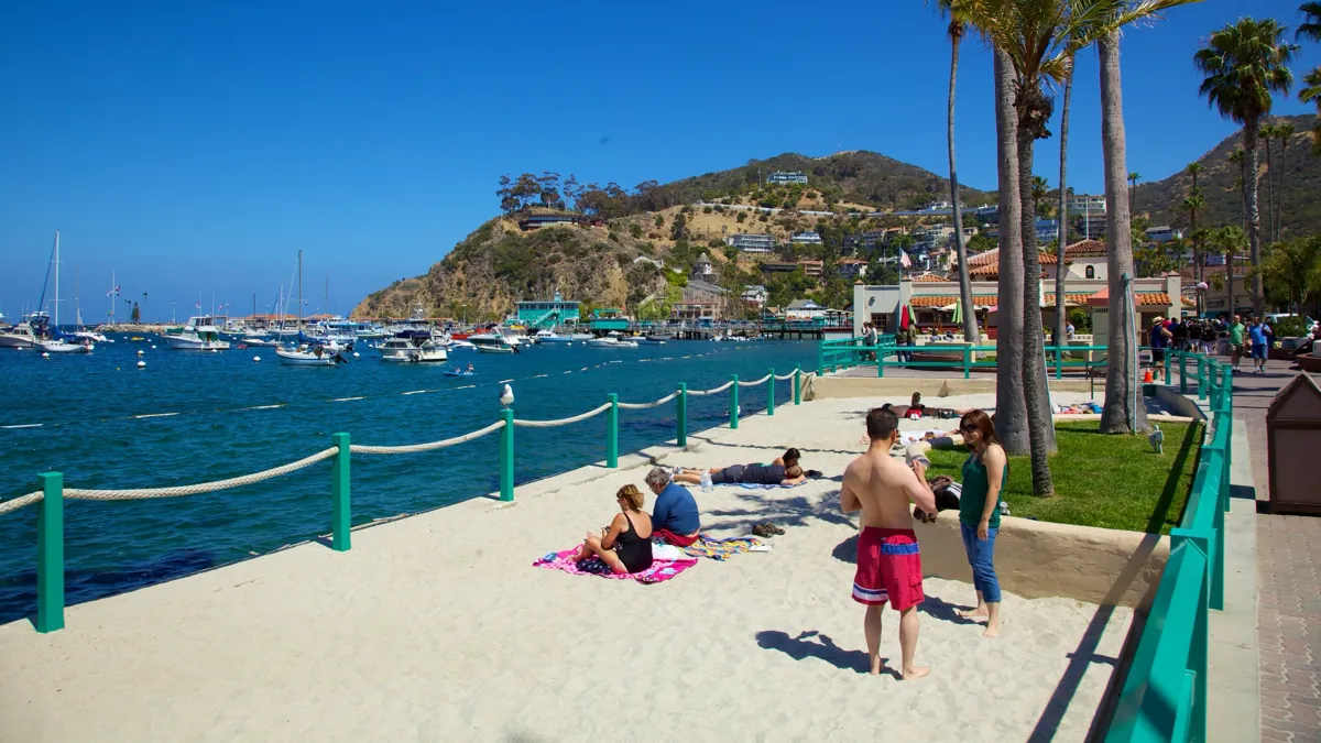 Beaches and Water Activities in Avalon, Catalina Island: Your Ultimate Guide with Calidreamin Charters