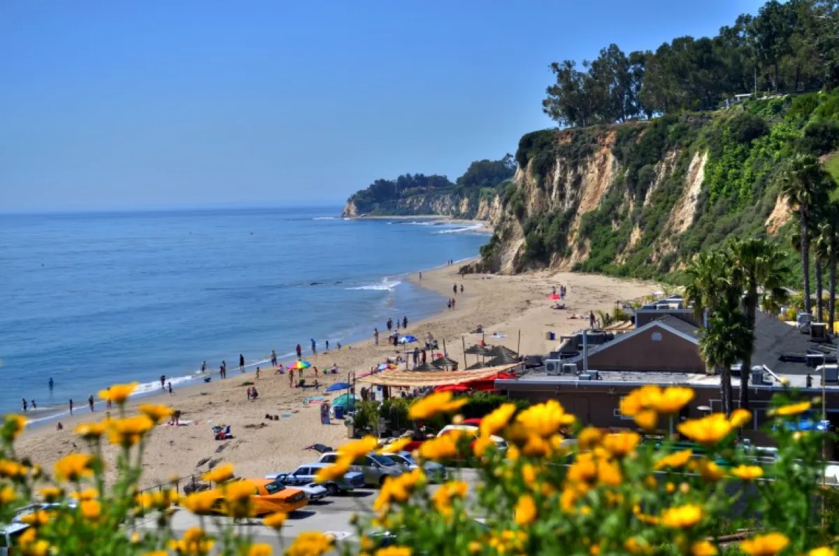 Experience Paradise Cove: A Luxury Malibu Day Trip with Calidreamin Charters