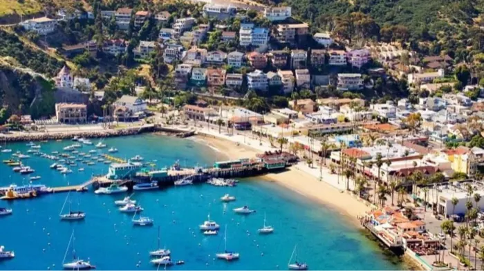 Avalon town and harbour from the water
