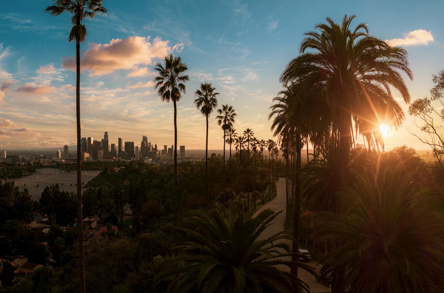 Palm trees and the downtown Los Angeles skyline at sunset