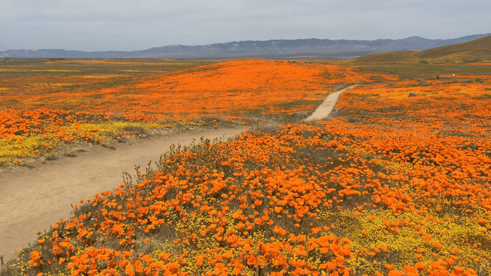 How Much Do You Need for a Down Payment in the Antelope Valley in 2025?